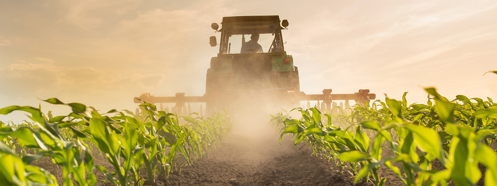 Farmers Business Network: Scaling with SnapFulfil WMS
